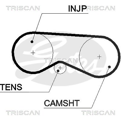 Triscan Zahnriemen [Hersteller-Nr. 86455531xs] für VW, Skoda, Audi