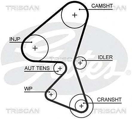 Triscan Zahnriemen [Hersteller-Nr. 86455657xs] für Ds, Ford, Peugeot, Citroën