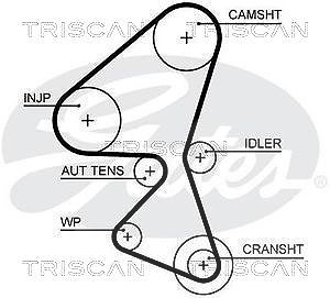Triscan Zahnriemen [Hersteller-Nr. 86455656xs] für Mitsubishi, Mazda, Peugeot, Fiat, Volvo, Citroën, Toyota, Ford, Ds