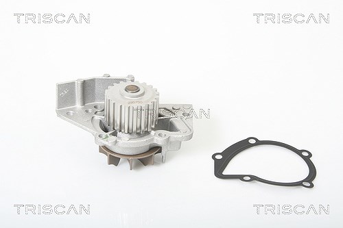 Triscan Wasserpumpe [Hersteller-Nr. 860028010] für Peugeot, Fiat, Lancia, Suzuki, Citroën