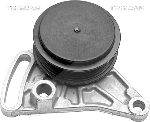 Triscan Spannrolle, Keilrippenriemen [Hersteller-Nr. 8641291004] für VW, Audi, Skoda