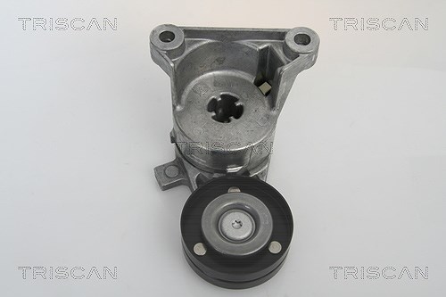 Triscan Spannarm, Keilrippenriemen [Hersteller-Nr. 8641273003] für Volvo
