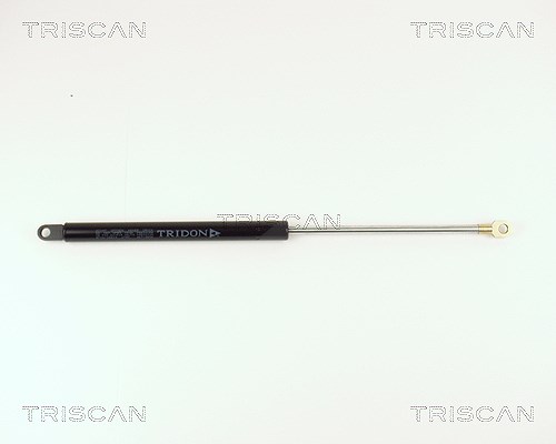 Triscan Gasfeder, Koffer-/Laderaum [Hersteller-Nr. 871015214] für Fiat