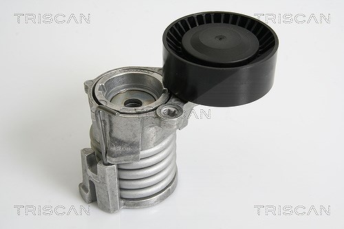 Triscan Riemenspanner, Keilrippenriemen [Hersteller-Nr. 8641293025] für VW, Skoda, Seat