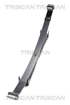 Triscan Federnpaket [Hersteller-Nr. 876569002] für Suzuki