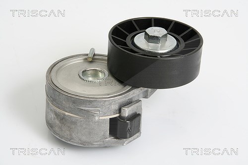 Triscan Spannrolle, Keilrippenriemen [Hersteller-Nr. 8641103031] für Citroën, Lancia, Suzuki, Fiat, Peugeot