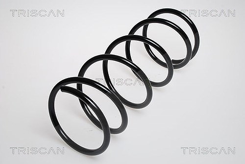 Triscan Fahrwerksfeder [Hersteller-Nr. 87501689] für Ford
