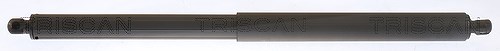 Triscan Gasfeder Hinten Bmw X1 - Bild 3