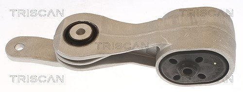 Triscan Lagerung, Motor [Hersteller-Nr. 850510135] für Ford, VW, Seat