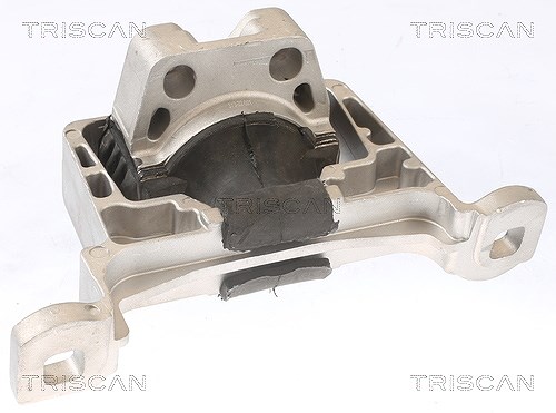 Triscan Lagerung, Motor [Hersteller-Nr. 850510105] für Ford, Volvo