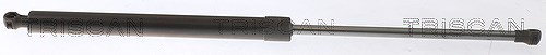 Triscan Gasfeder Hinten Renault Megane 4 - Bild 4