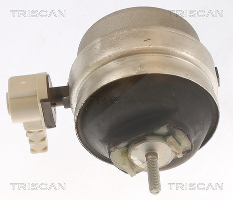 Triscan Lagerung, Motor 8505 29111 Für Audi - Bild 4