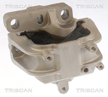 Triscan Lagerung, Motor [Hersteller-Nr. 850529143] für Skoda, Audi, VW