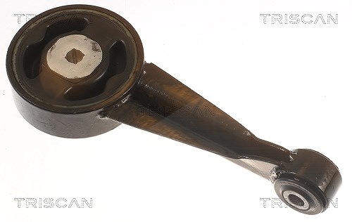 Triscan Lagerung, Motor [Hersteller-Nr. 850529190] für VW