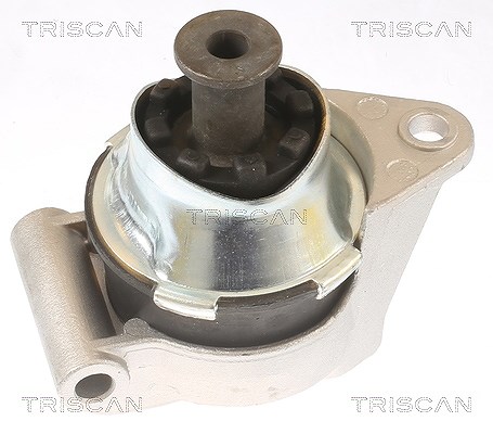 Triscan Lagerung, Motor [Hersteller-Nr. 850524110] für Opel