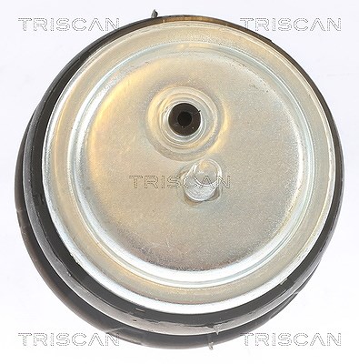 Triscan Lagerung, Motor 8505 11113 Für Bmw - Bild 3