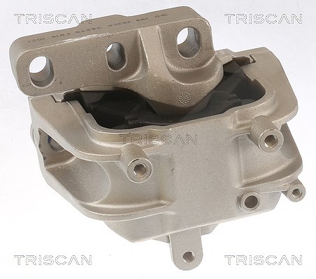 Triscan Lagerung, Motor [Hersteller-Nr. 850529145] für VW, Audi