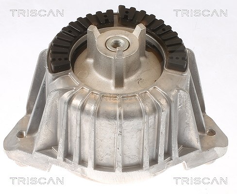 TRISCAN 850523101 Lagerung für Motor Motorlager Lagerung Motor - Bild 4