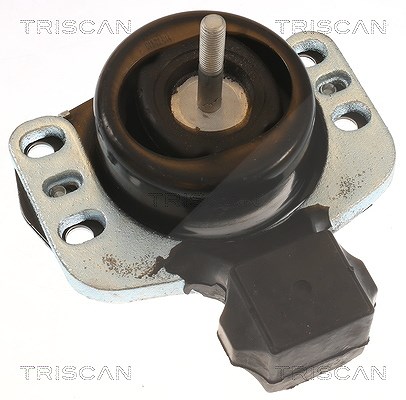 Triscan Lagerung, Motor [Hersteller-Nr. 850510118] für Renault, Opel