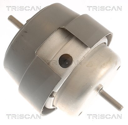 TRISCAN 850529169 Lagerung für Motor Motorlager Lagerung Motor - Bild 3
