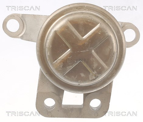 Triscan Lagerung, Motor [Hersteller-Nr. 850510108] für Ford, Volvo
