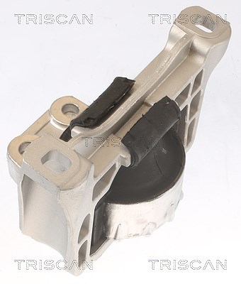 Triscan Lagerung, Motor [Hersteller-Nr. 850510100] für Ford, Volvo