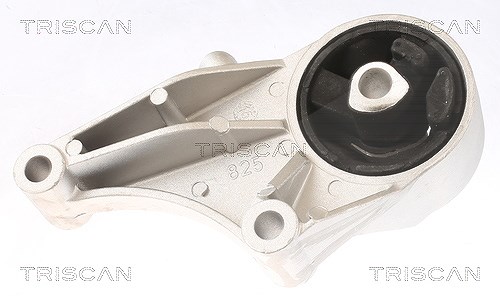 Triscan Lagerung, Motor [Hersteller-Nr. 850524101] für Vauxhall, Opel