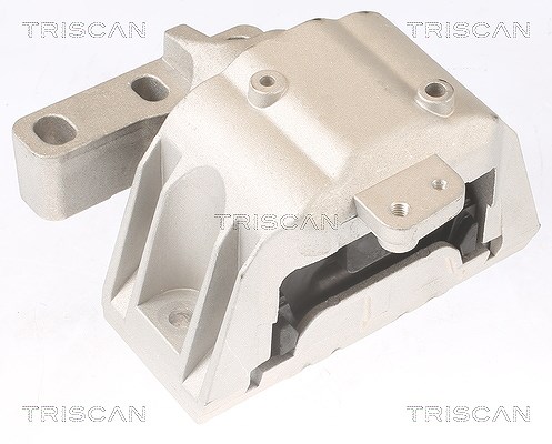 Triscan Lagerung, Motor [Hersteller-Nr. 850529107] für Skoda, VW, Audi