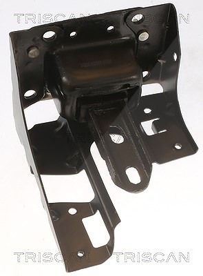 Triscan Lagerung, Motor [Hersteller-Nr. 850528117] für Opel, Citroën, Ds, Peugeot