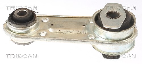 Triscan Lagerung, Motor 8505 25109 Für Renault - Bild 4