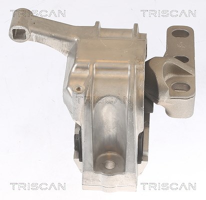 Triscan Lagerung, Motor [Hersteller-Nr. 850529134] für Audi, Seat, VW