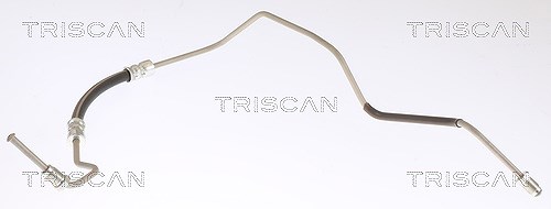Bremsschlauch M10x1 & M10x1 TRISCAN IAM-Expertise für u.a. RENAULT MEGANE - Bild 3