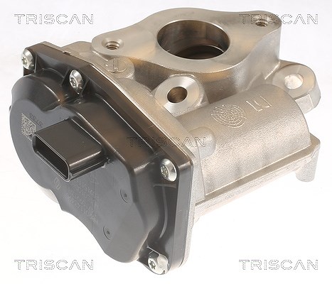 TRISCAN 881310055 AGR-Ventil AGR Ventil Abgasrückführventil - Bild 3