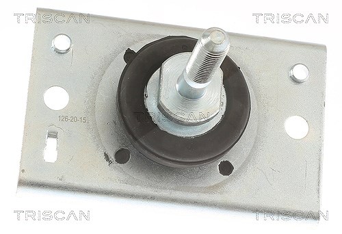 Triscan Lagerung, Motor [Hersteller-Nr. 850510116] für Renault, Opel
