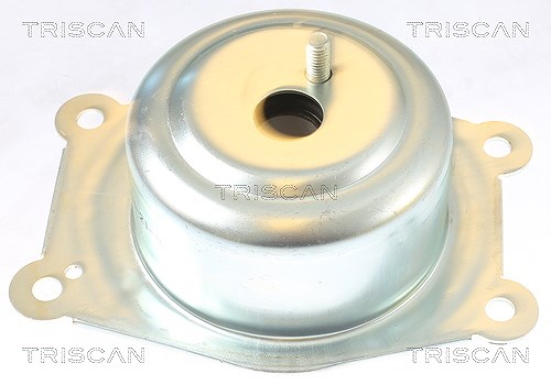 Triscan Lagerung, Motor [Hersteller-Nr. 850524108] für Opel