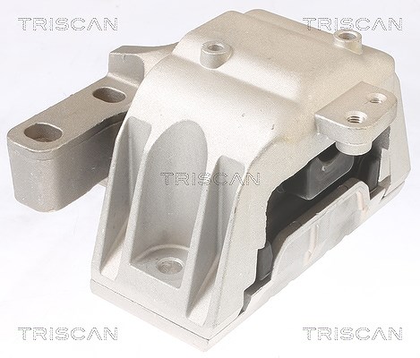 Triscan Lagerung, Motor [Hersteller-Nr. 850529115] für VW, Audi, Seat