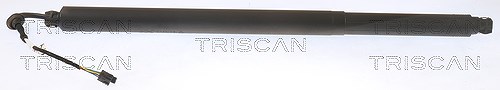 TRISCAN 871029313 Gasfeder für Koffer-/Laderaum Gasfeder Gasdämpfer für Skoda - Bild 4