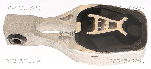 Triscan Lagerung, Motor [Hersteller-Nr. 850510130] für Vauxhall, Ds, Opel, Citroën, Peugeot