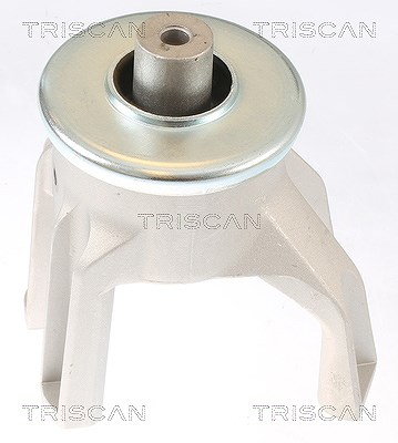 Triscan Lagerung, Motor 8505 29187 Für Vw - Bild 5