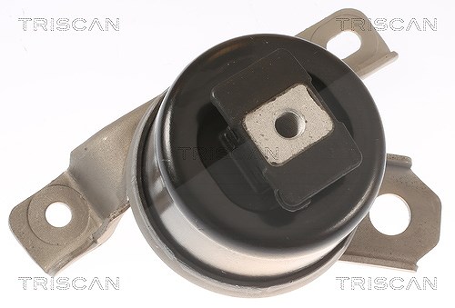 Triscan Lagerung, Motor [Hersteller-Nr. 850527107] für Land Rover, Volvo