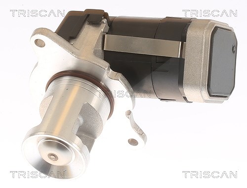 Triscan AGR-Ventil [Hersteller-Nr. 881323036] für Mercedes-Benz