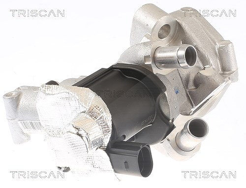 Triscan AGR-Ventil [Hersteller-Nr. 881314006] für Nissan, Infiniti