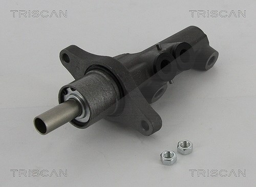 Triscan Hauptbremszylinder [Hersteller-Nr. 813029170] für Skoda, Audi, Seat, VW