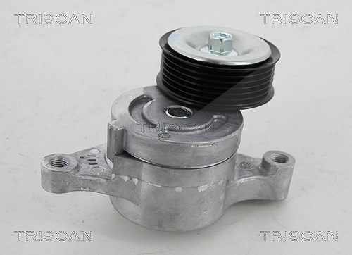 Triscan Spannrolle, Keilrippenriemen [Hersteller-Nr. 8641503009] für Mazda