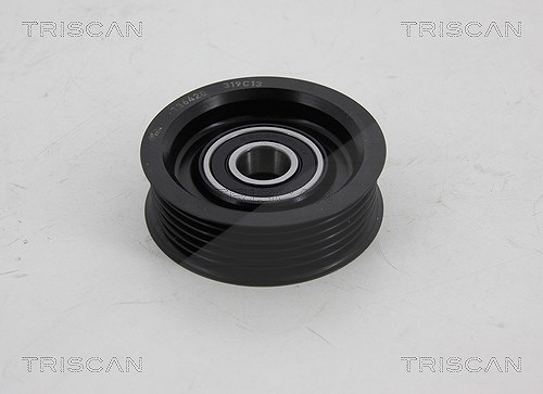 Triscan Umlenk-/Führungsrolle, Keilrippenriemen [Hersteller-Nr. 8641502007] für Mazda
