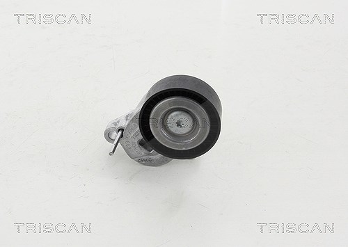 Triscan Spannrolle, Keilrippenriemen [Hersteller-Nr. 8641163023] für Ford