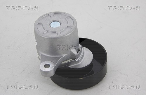 Triscan Spannrolle, Keilrippenriemen [Hersteller-Nr. 8641693002] für Suzuki