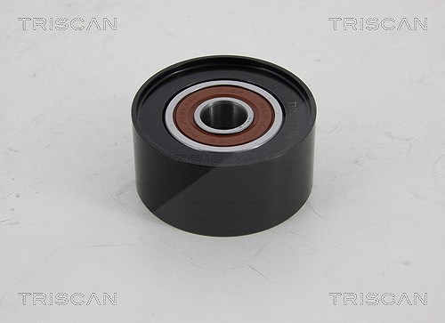 Triscan Umlenk-/Führungsrolle, Keilrippenriemen [Hersteller-Nr. 8641502005] für Mazda