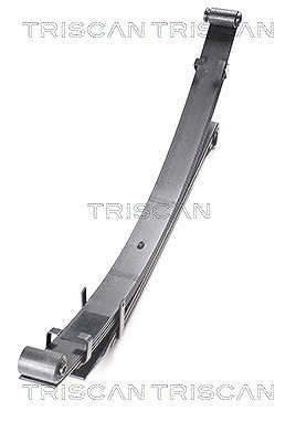 Triscan Federnpaket [Hersteller-Nr. 876542007] für Mitsubishi