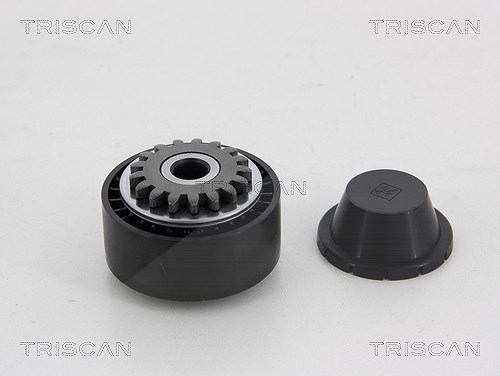 Triscan Spannrolle, Keilrippenriemen [Hersteller-Nr. 8641252020] für Renault, Proton, Dacia, Nissan